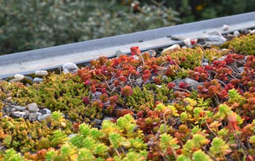 the cost of Sollers Hope green roof installation