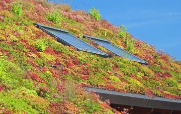 Sollers Hope living roof systems